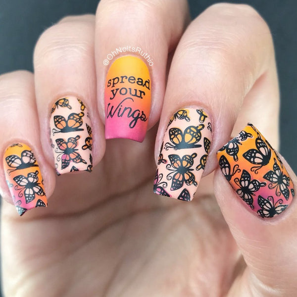 Collection 24 - Set of 3 Uber Chic Stamping Plates