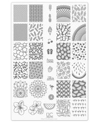 Collection 9 - Uber Chic Stamping Plates