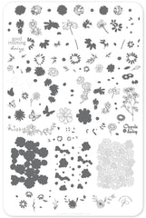 I Dream of Daisies (CjS-104) - Clear Jelly Stamping Plate