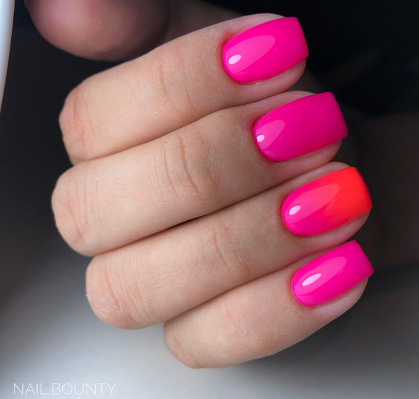 Dazzle - Akzentz Luxio