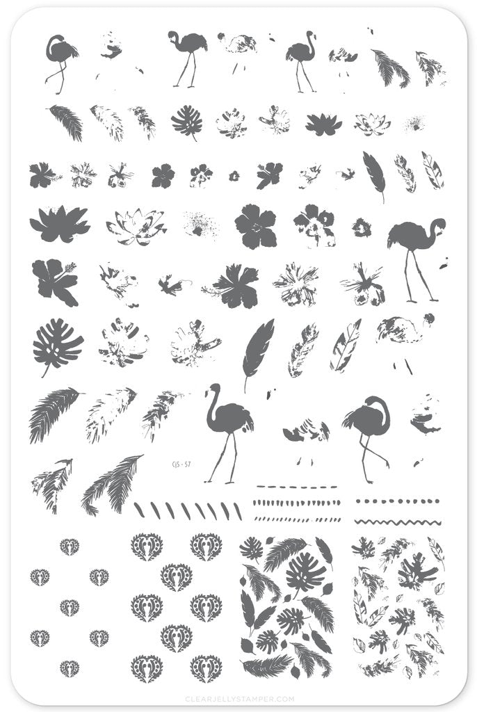 Fabulous Flamingo (CjS-57) - Clear Jelly Stamping Plate