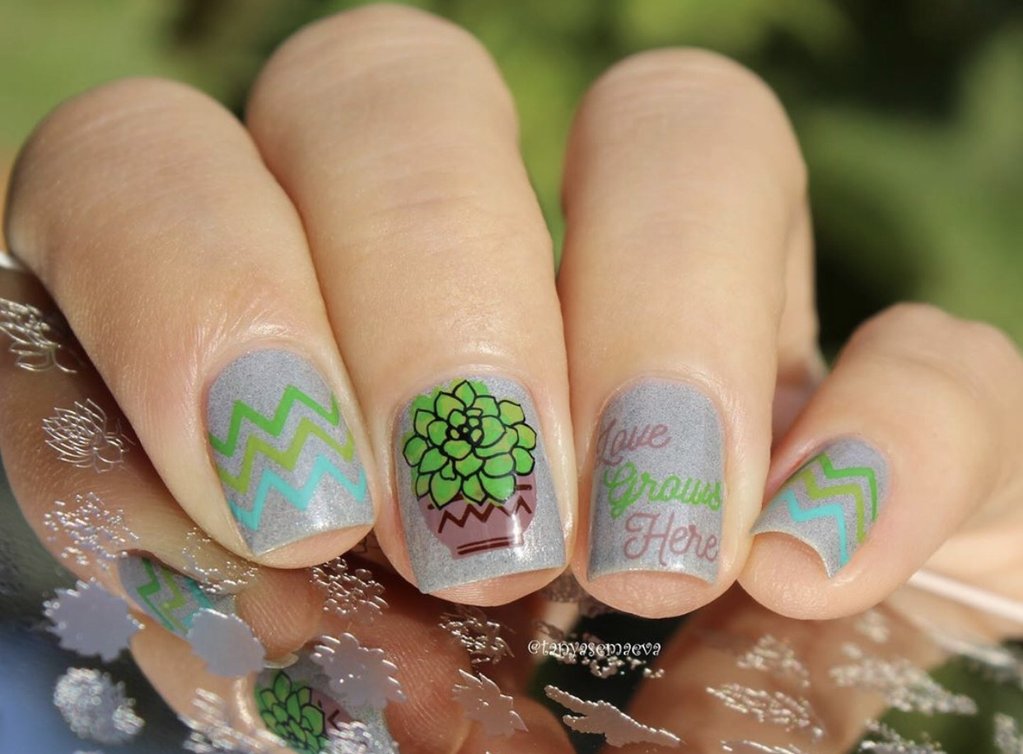 Oh So Succulent! (CjS-123) - Clear Jelly Stamping Plate