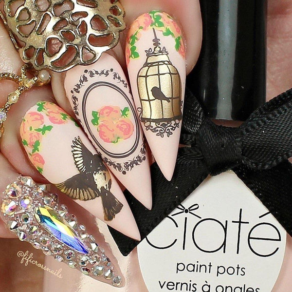 Suzie's Victorian Plate (CjS LC-45) -  Clear Jelly Stamping Plate