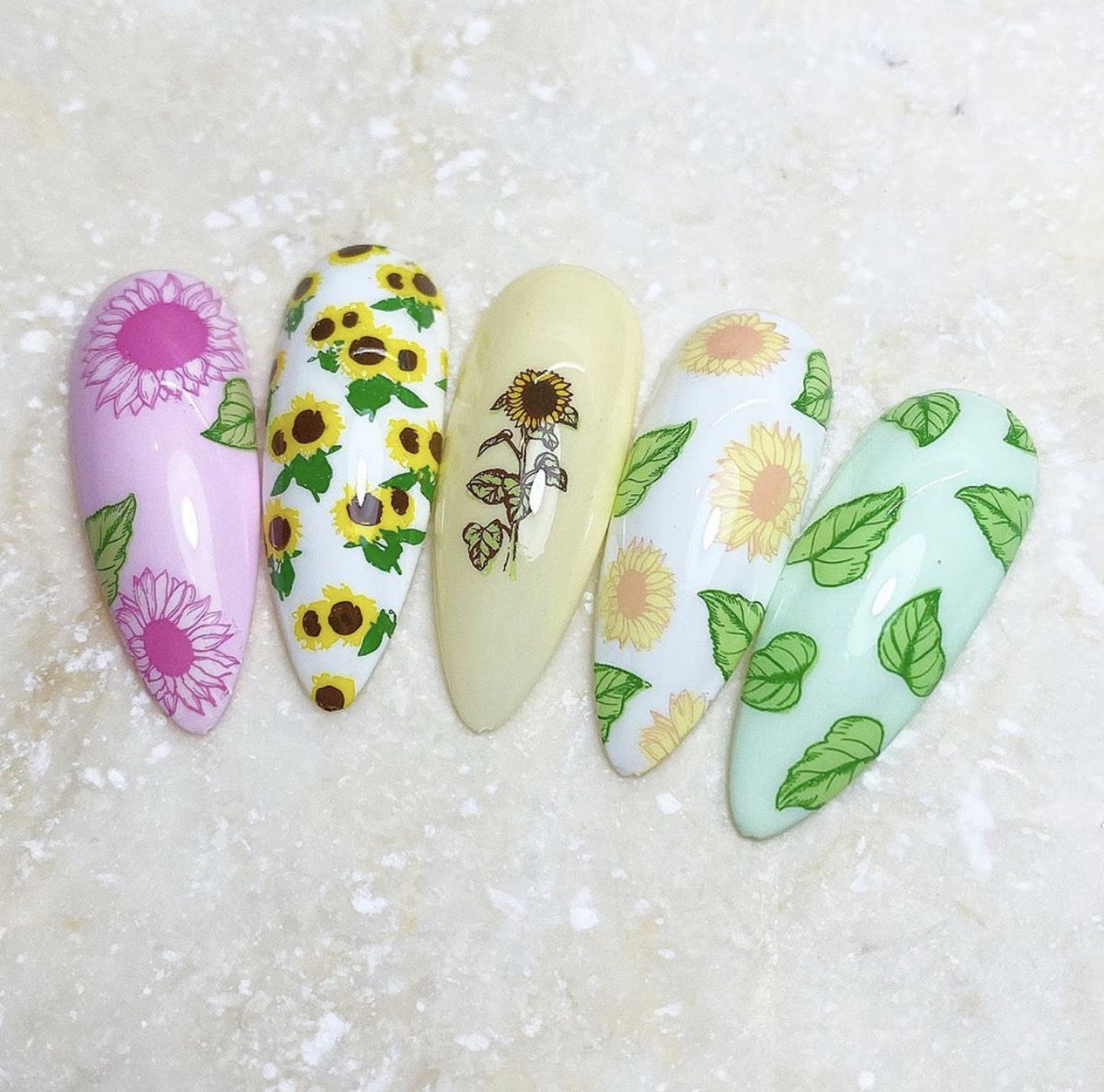 Sunflowers (CjS-163) - CJS Medium Stamping Plate