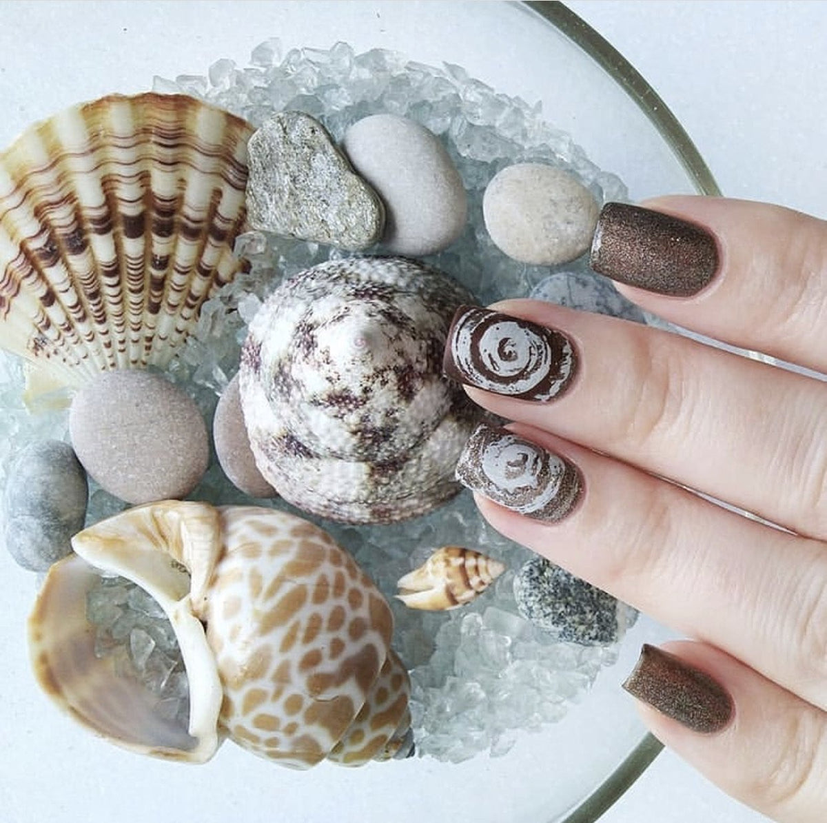 Texture Essentials - Nature's Law (CjS-69) - Clear Jelly Stamping Plate