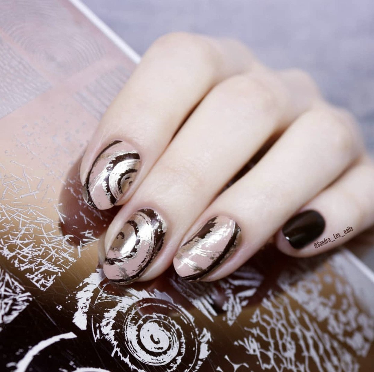 Texture Essentials - Nature's Law (CjS-69) - Clear Jelly Stamping Plate Secondary image