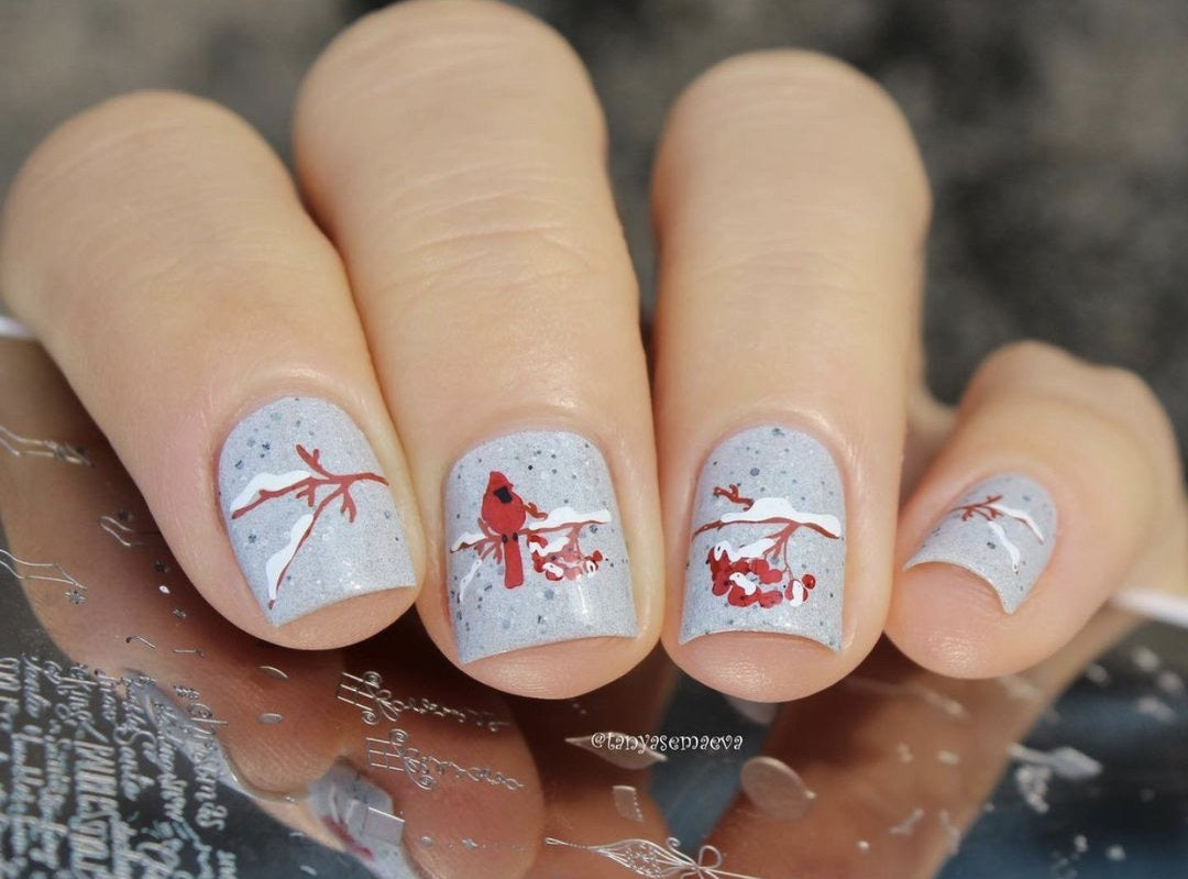 Mistletoe Wishes (CjS C-47) - Clear Jelly Stamping Plate
