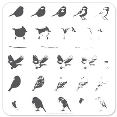 Itty Bitty Birds (CjS-30) -  CJS Small Stamping Plate