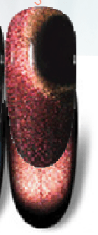 Jasper Blackout Cats Eye Gel Polish Main image