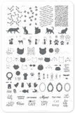 Here Kitty Kitty! (CjS-55) - Clear Jelly Stamping Plate
