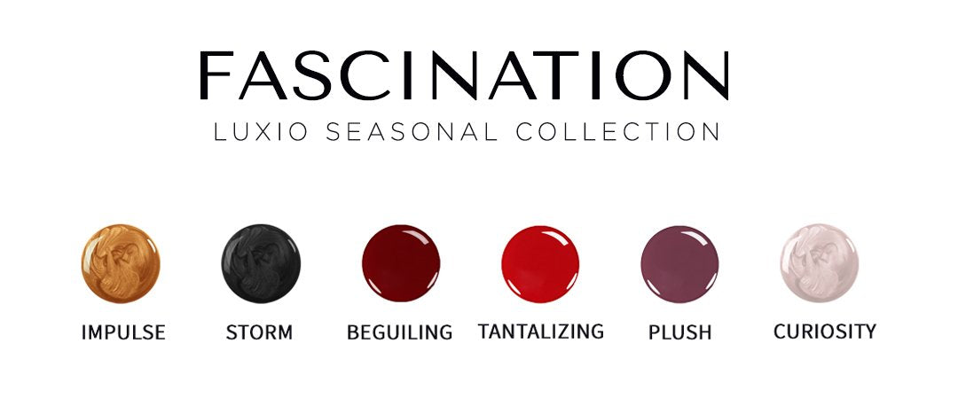 Fascination-  Fall 2019 FULL SIZE Collection -  Luxio