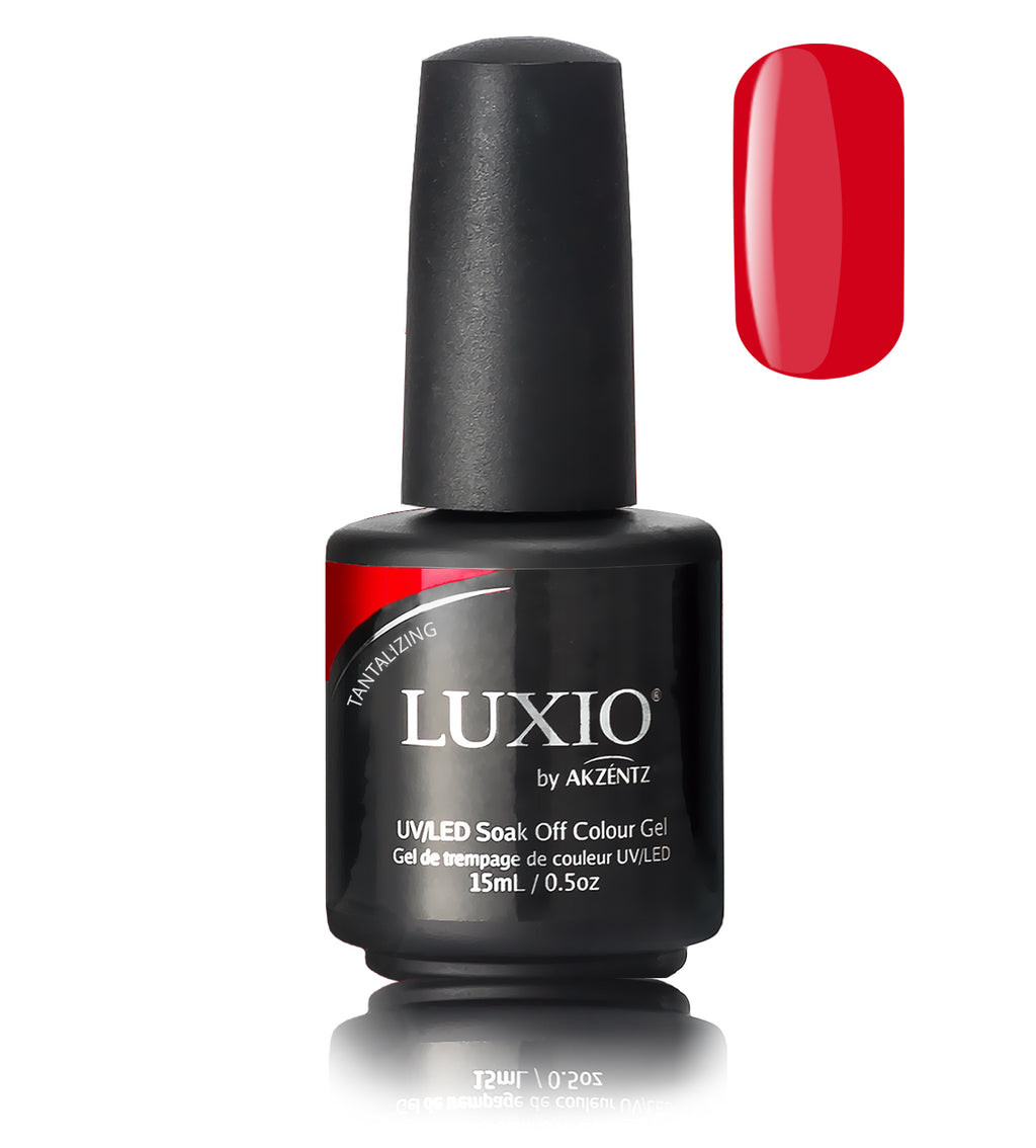 Fascination-  Fall 2019 MINI SIZE Collection -  Luxio
