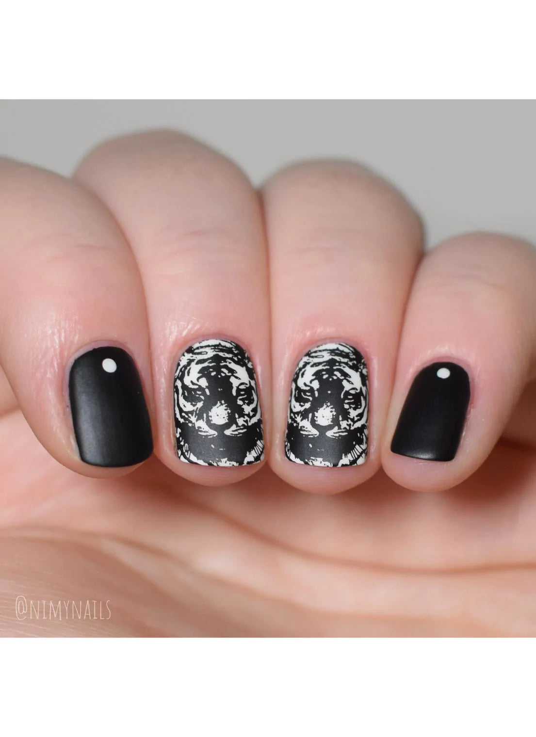 Wild & Fierce: Big Cats -  Uber Chic Stamping Plate