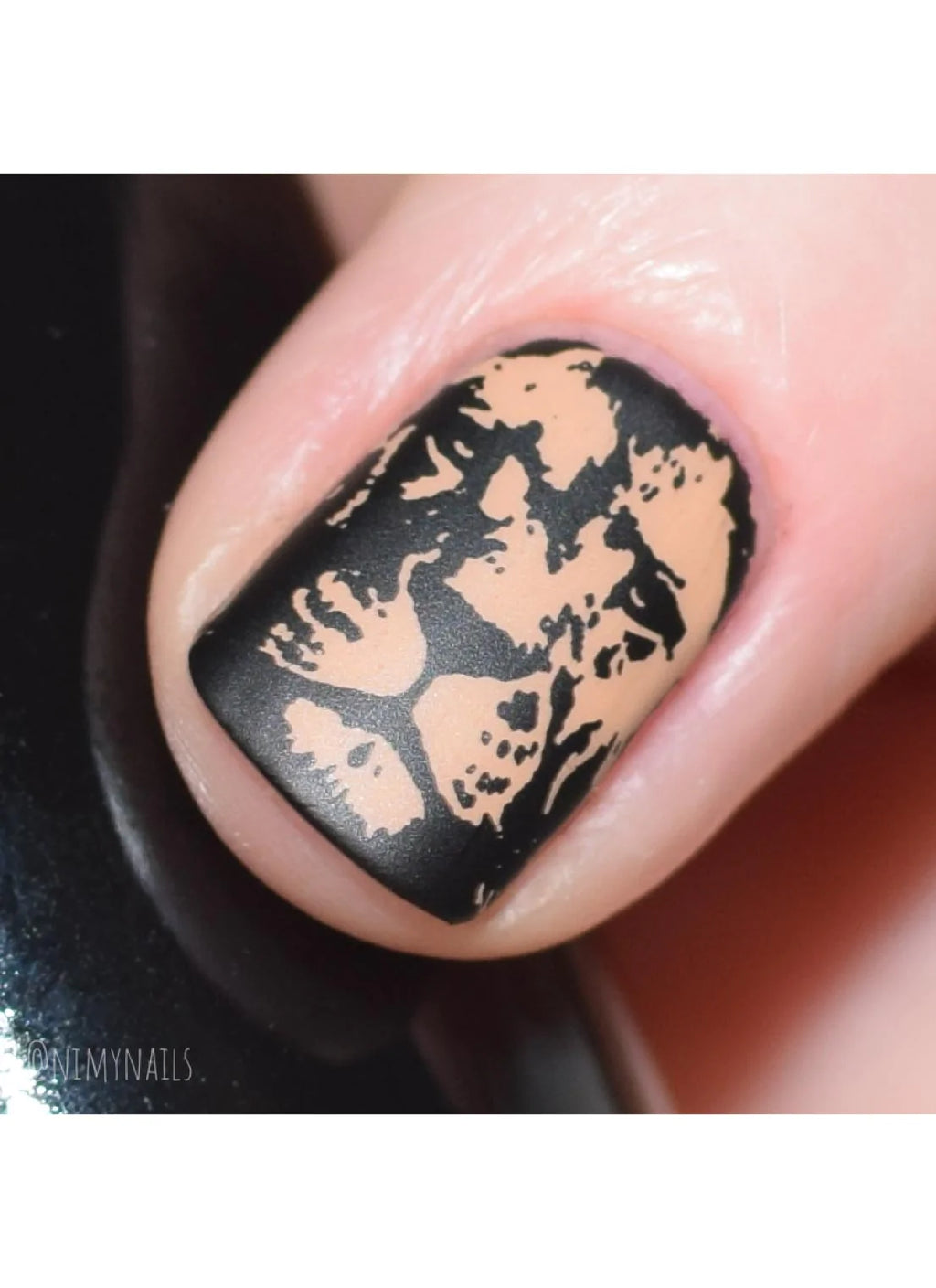 Wild & Fierce: Big Cats -  Uber Chic Stamping Plate
