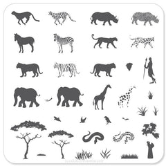 Out of Africa (CjS-15) - CJS Small Stamping Plate