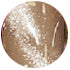 Cats Eye Delights  Gel Polish Secondary image