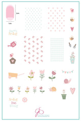 Spring Has Sprung (CjSH-17) - Clear Jelly Stamping Plate