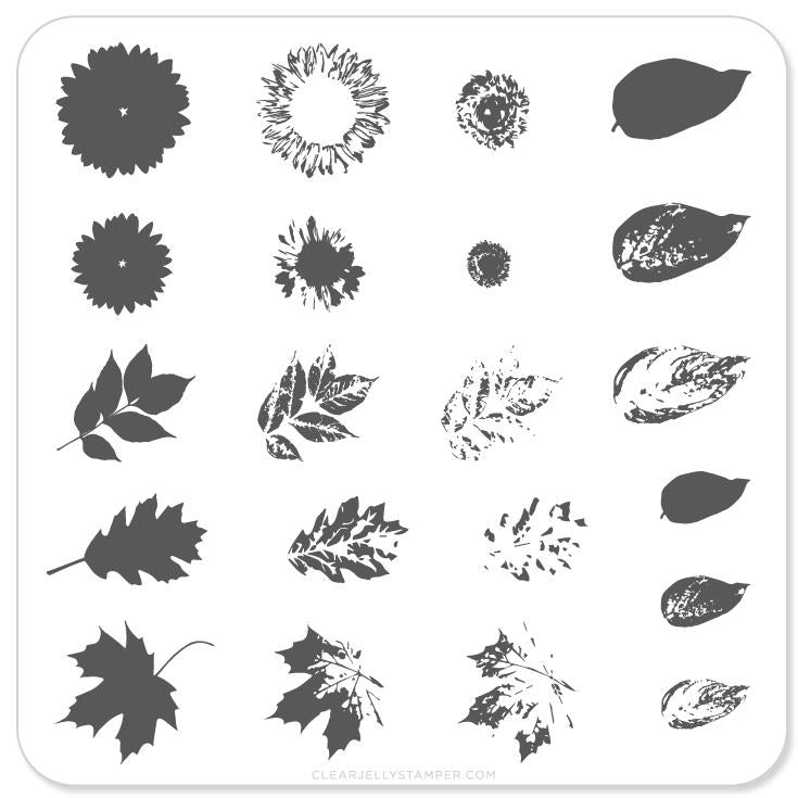 Sunflower and Leaves (CjS-26) - CJS Small Stamping Plate