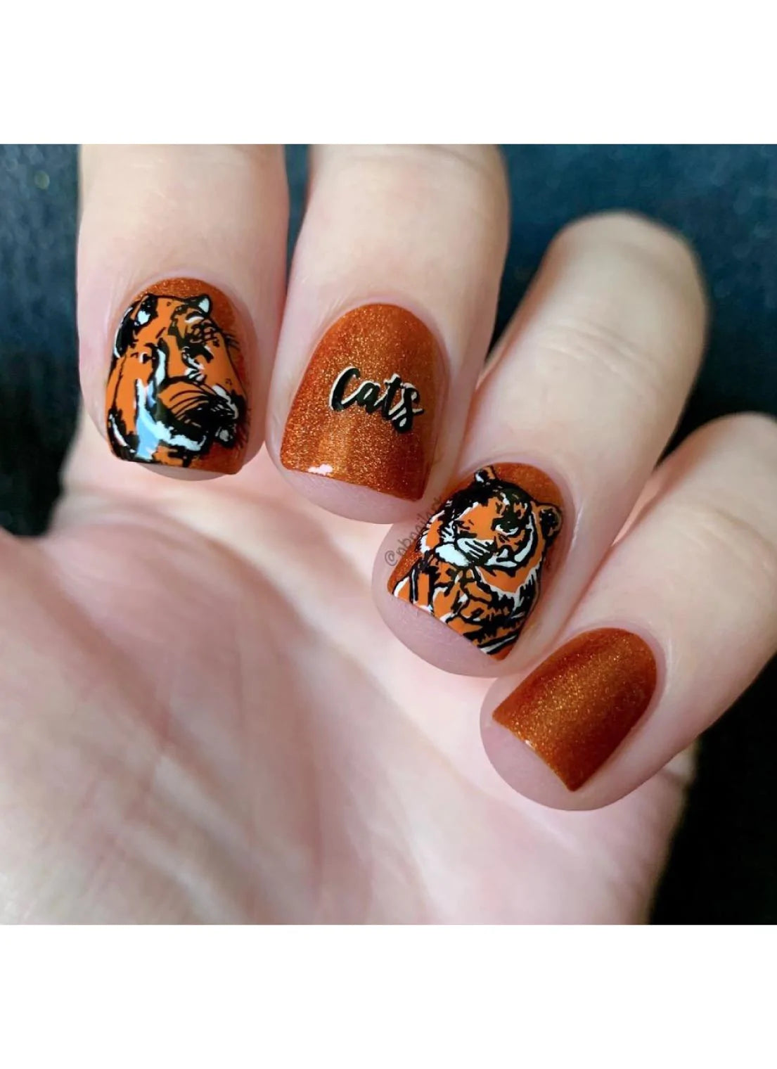 Wild & Fierce: Big Cats -  Uber Chic Stamping Plate