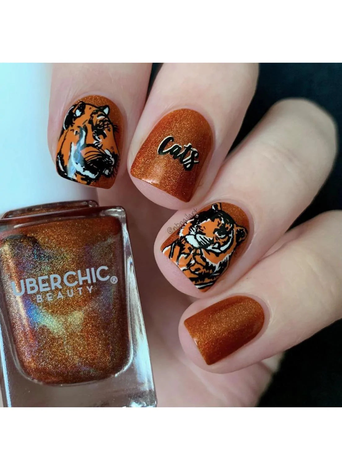 Wild & Fierce: Big Cats -  Uber Chic Stamping Plate