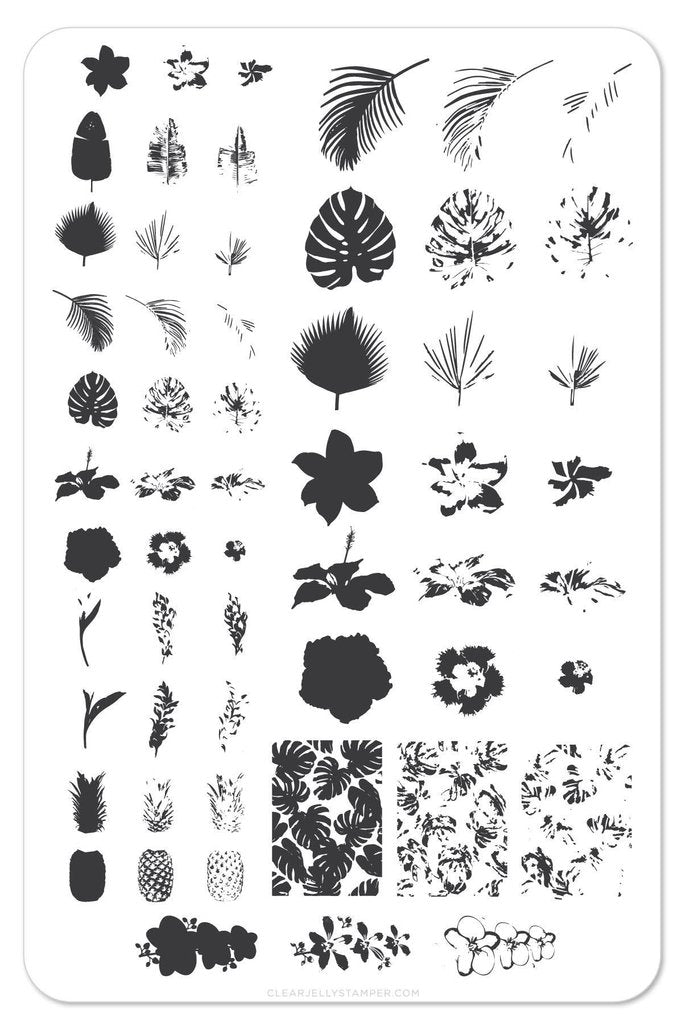 Tropical (CjS-38) - Clear Jelly Stamping Plate