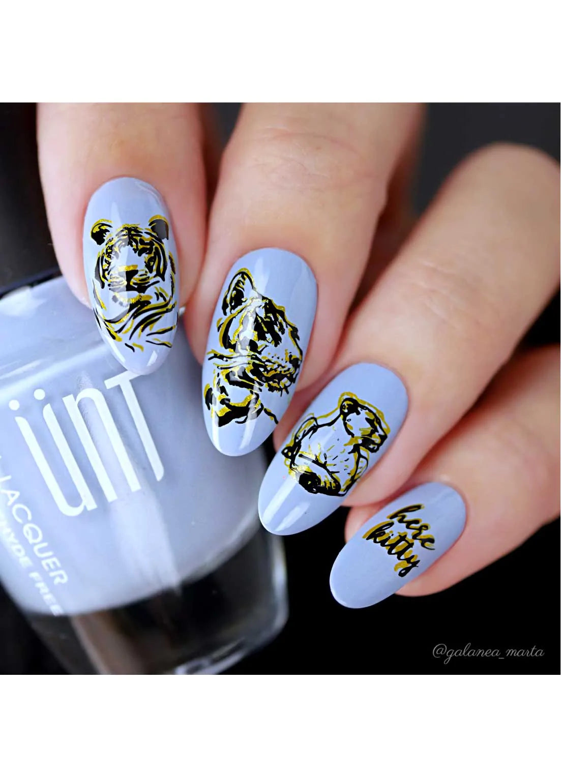 Wild & Fierce: Big Cats -  Uber Chic Stamping Plate